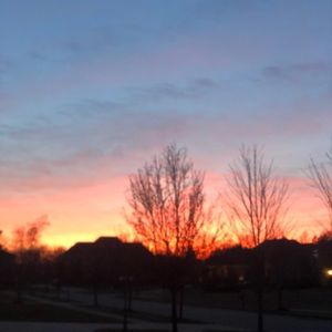 Meet your Posher, Alexia